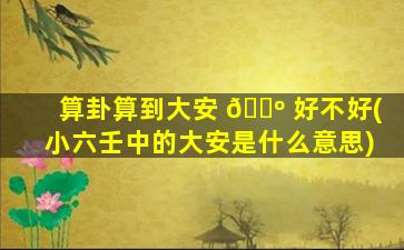 算卦算到大安 🌺 好不好(小六壬中的大安是什么意思)